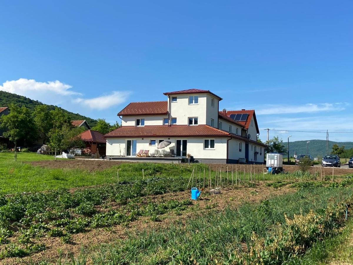 Apartman Fenestra S Terasom I Pogledom Na Gacku Otočac Exterior foto